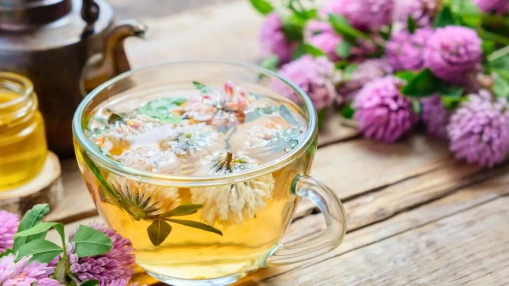 Czerwona koniczyna na menopauzę