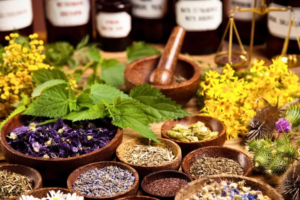 Zioła na ból żołądka i trawienie – skuteczne napary i preparaty ziołowe Zioła na ból żołądka i trawienie