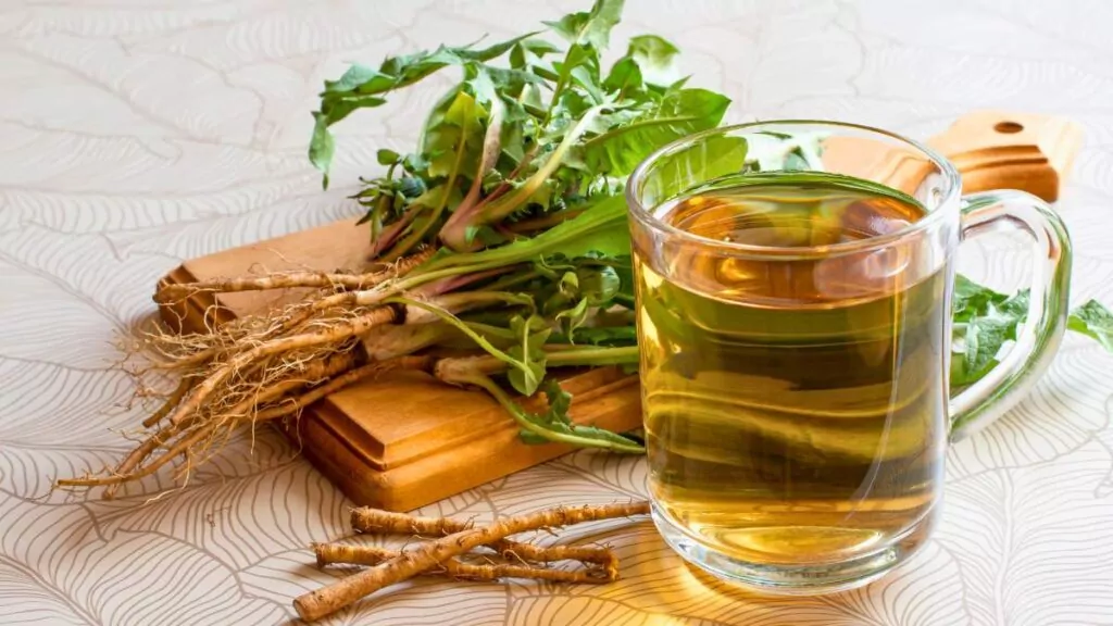 Mniszek lekarski – właściwości lecznicze i zdrowotne mniszka