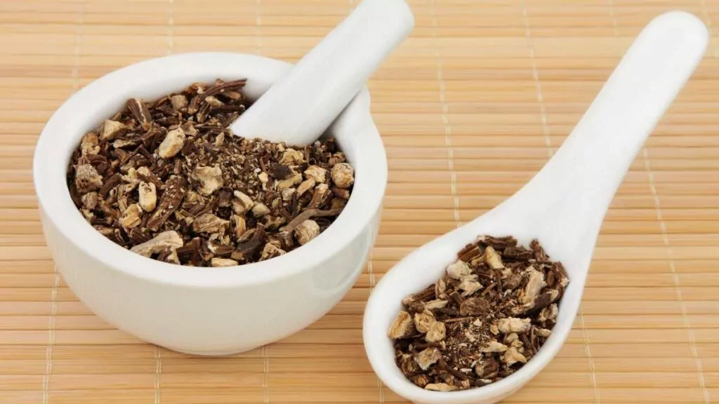 Arcydzięgiel litwor: Właściwości lecznicze w ziołolecznictwie