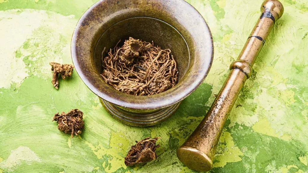 Kozłek lekarski i waleriany – właściwości, zastosowanie i kapsułki Kozłek lekarski i waleriany – właściwości, zastosowanie i kapsułki