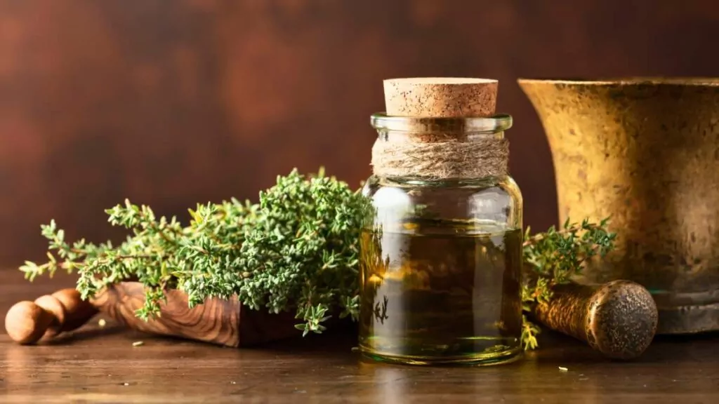 Tymianek – zastosowanie, właściwości zdrowotne i na kaszel Tymianek – zastosowanie, właściwości zdrowotne i na kaszel