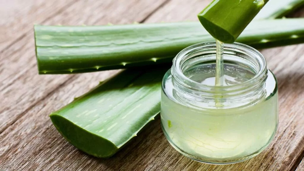 Aloes: Właściwości, sok z aloesu, zastosowanie w kosmetykach