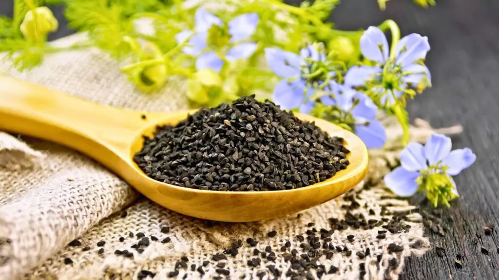 Czarnuszka: Działanie, stosowanie i na co pomaga czarnuszka?