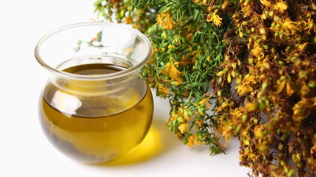 Dziurawiec zwyczajny – właściwości, herbata i przeciwwskazania Dziurawiec zwyczajny – właściwości, herbata i przeciwwskazania