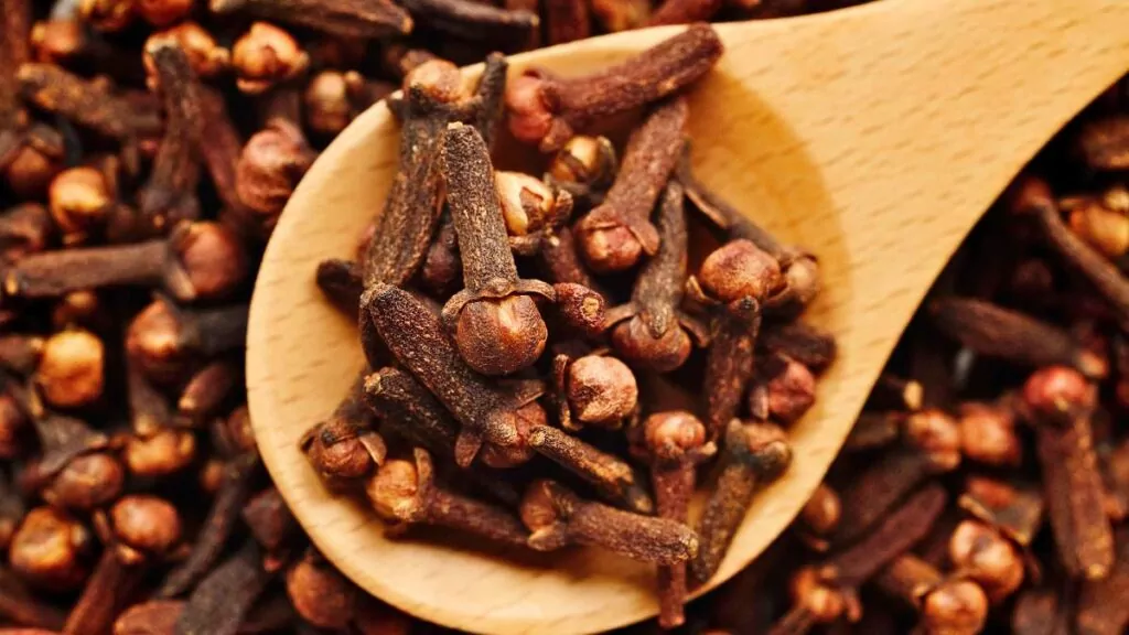 Goździki: Zdrowotne właściwości i zastosowanie Przyprawa do wędlin
