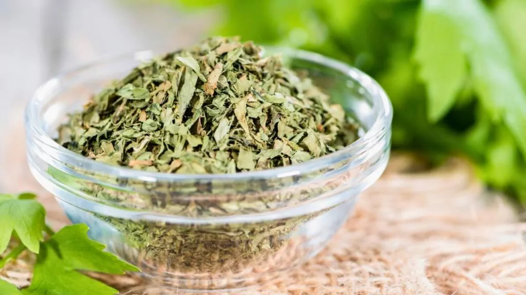 Lubczyk ogrodowy – uprawa, pielęgnacja i właściwości lecznicze