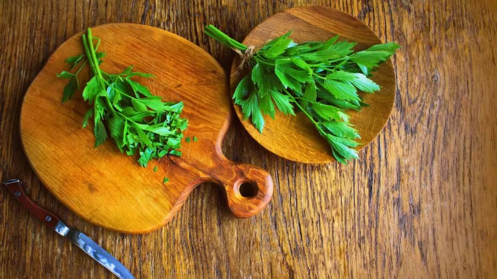 Lubczyk ogrodowy – uprawa, pielęgnacja i właściwości lecznicze