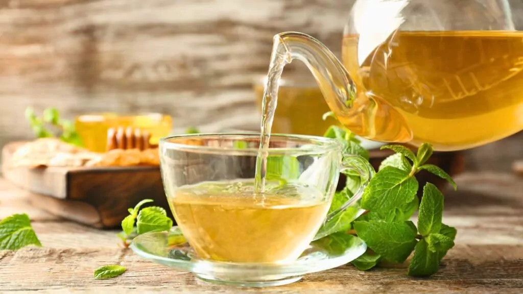 Melisa lekarska – właściwości i działanie melisy w codziennym życiu