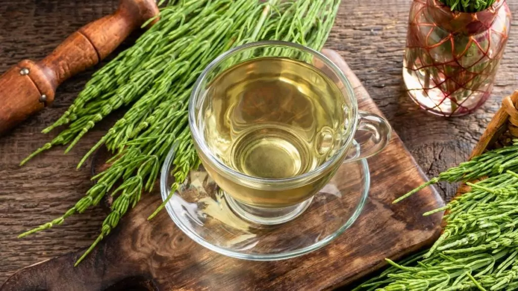 Skrzyp polny – właściwości, dawkowanie i skutki uboczne Skrzyp polny – właściwości, dawkowanie i skutki uboczne