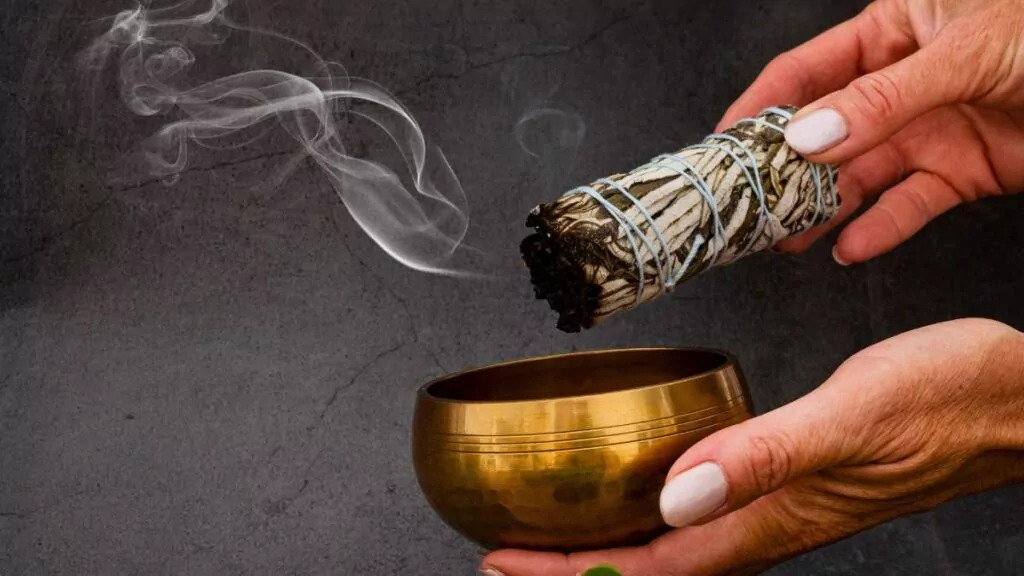 Szałwia lekarska – właściwości, przeciwwskazania i zastosowanie