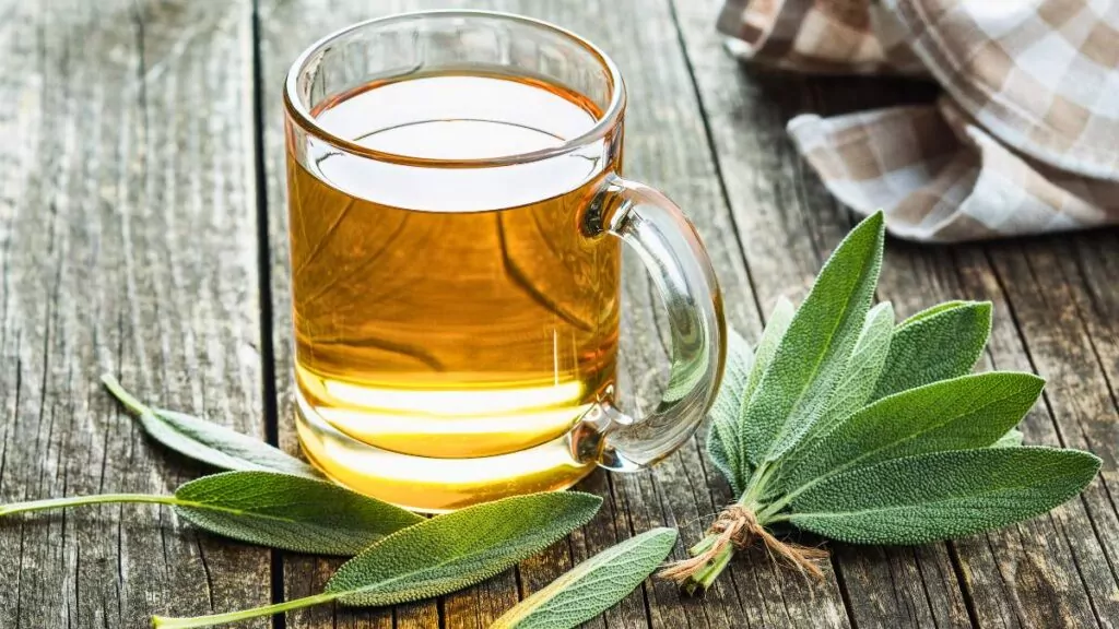 Szałwia lekarska – właściwości, przeciwwskazania i zastosowanie