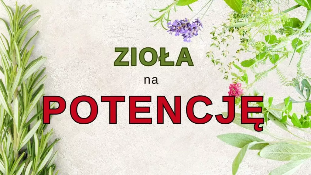 Zioła na potencję: Naturalne wsparcie Twojego libido zioła na potencję