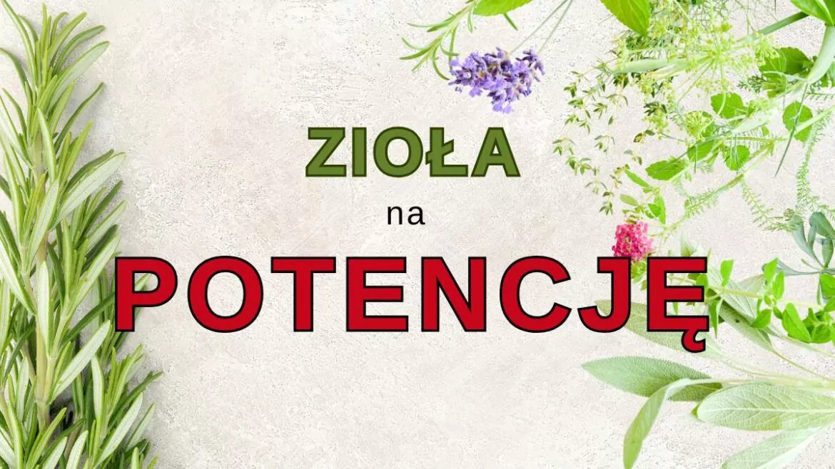 zioła na potencję