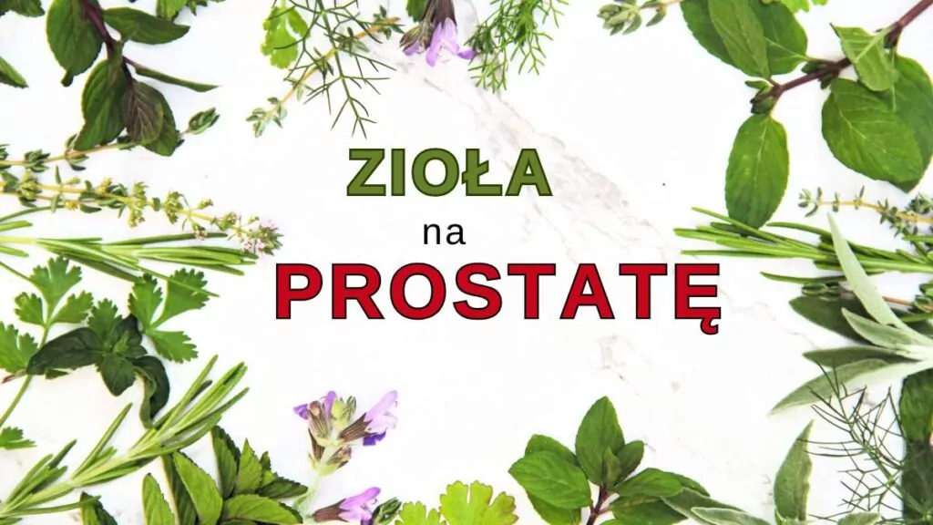 Zioła na prostatę: Naturalne terapie na przerost prostaty Zioła na Prostatę