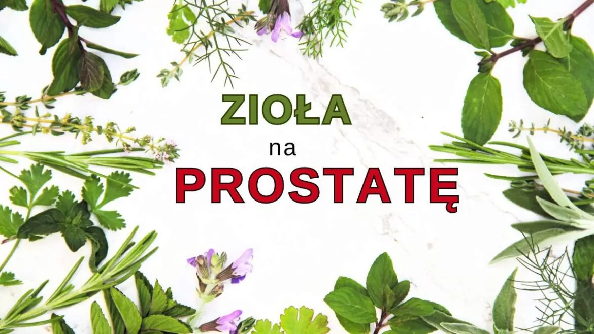 Zioła na Prostatę