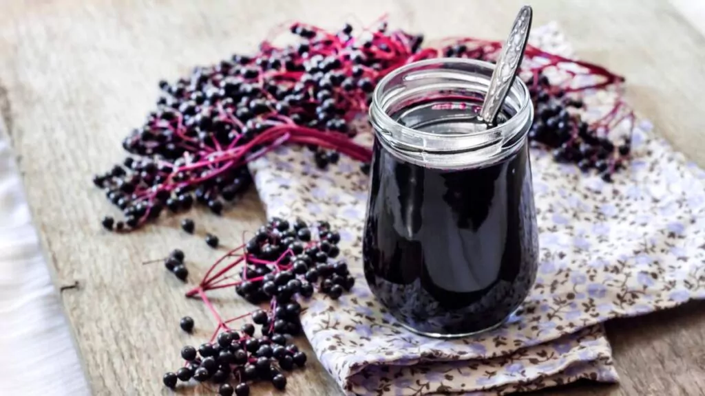 Czarny bez: Sok z Czarnego Bzu, Właściwości zdrowotne Czarny bez: Sok z Czarnego Bzu, Właściwości zdrowotne