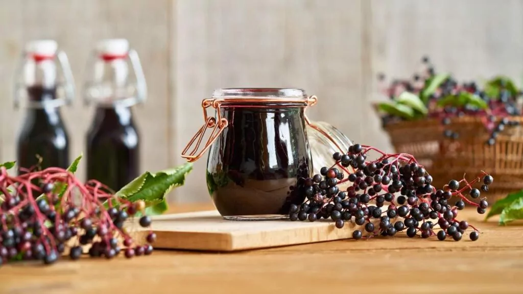 Czarny bez: Sok z Czarnego Bzu, Właściwości zdrowotne Czarny bez: Sok z Czarnego Bzu, Właściwości zdrowotne