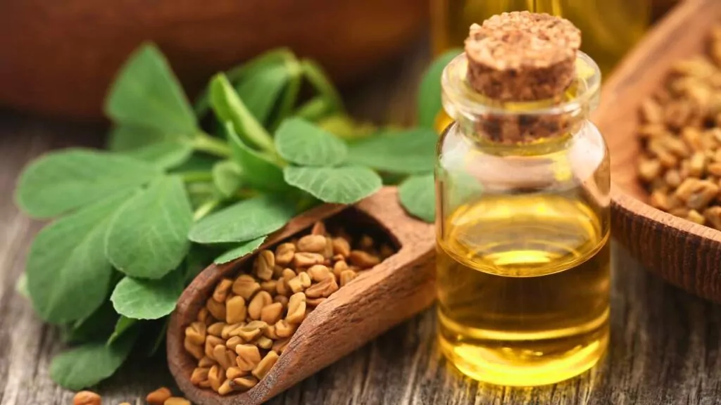 Kozieradka pospolita: właściwości lecznicze i na co pomaga