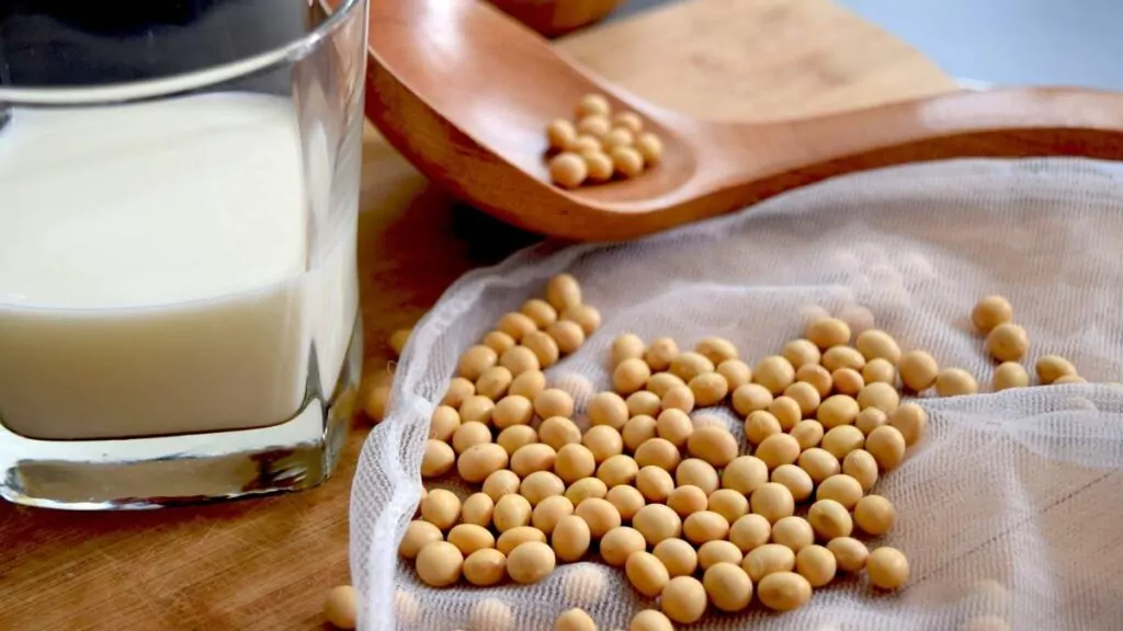 Soja: zdrowa i odżywcza? Fakty o hormonach i spożyciu. Soja: zdrowa i odżywcza? Fakty o hormonach i spożyciu.