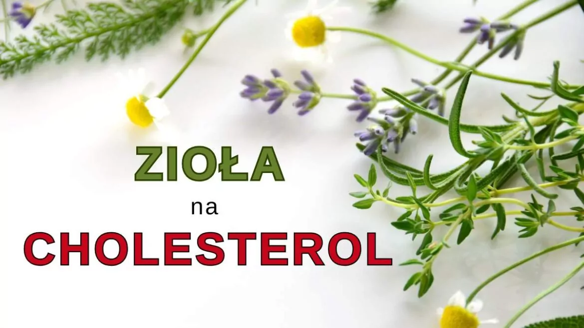 zioła na cholesterol