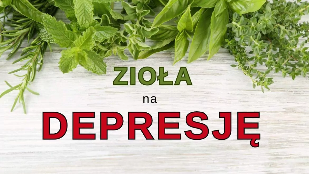 zioła na depresję