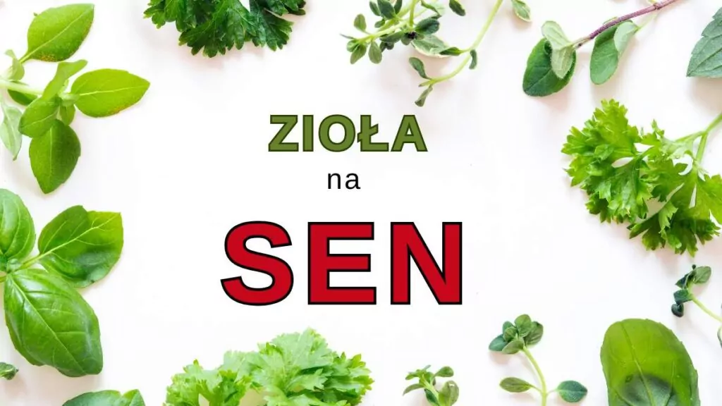 Zioła na sen: Skuteczne zioła na bezsenność dla zdrowego snu zioła na sen