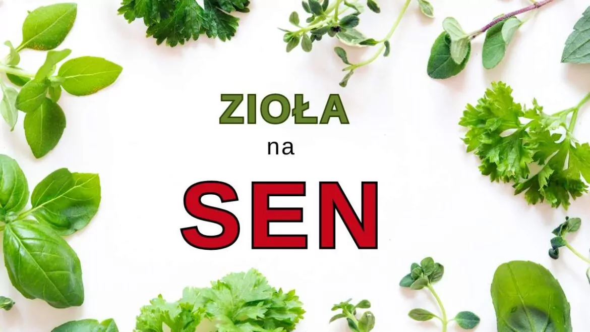zioła na sen