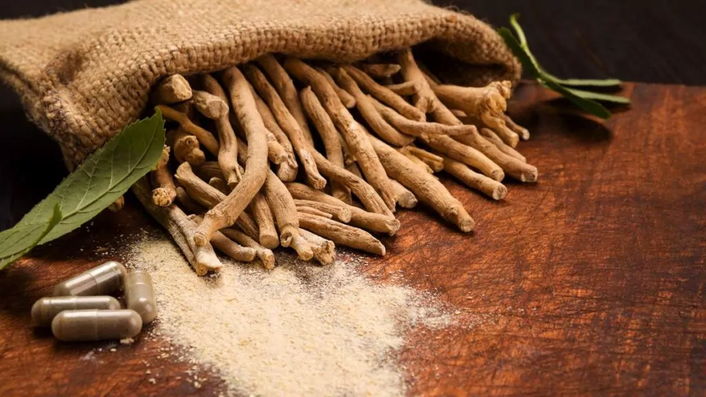 Ashwagandha Żeń-szeń Indyjski, Korzeń, Właściwości zdrowotne Ashwagandha Żeń-szeń Indyjski, Korzeń, Właściwości zdrowotne