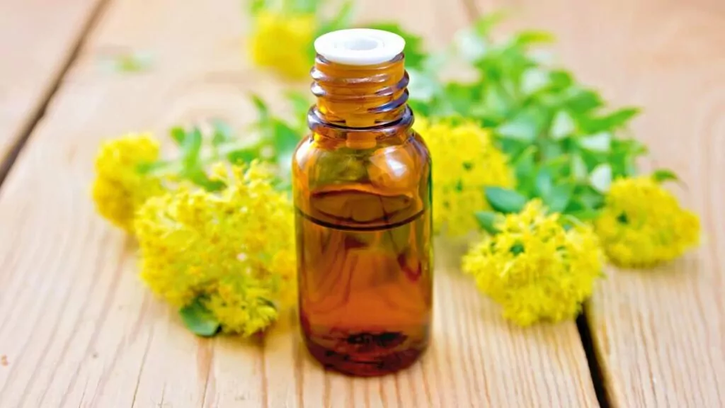 Różeniec Górski: Właściwości Lecznicze, Przeciwwskazania