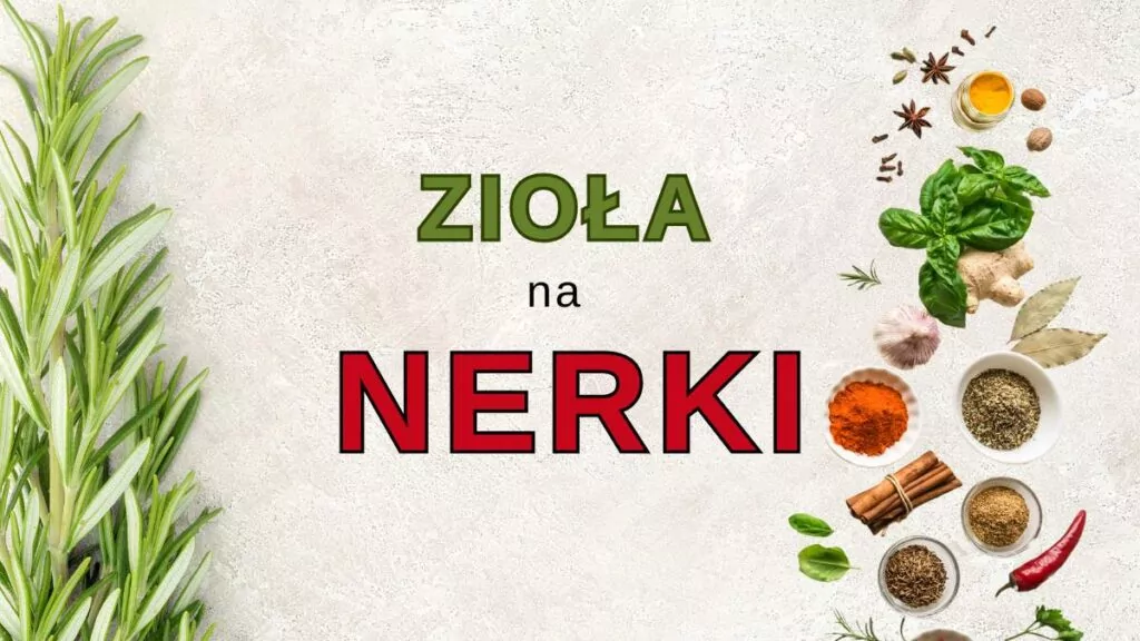 Zioła na nerki i układ moczowy: Wspomaganie nerkowe zioła na nerki