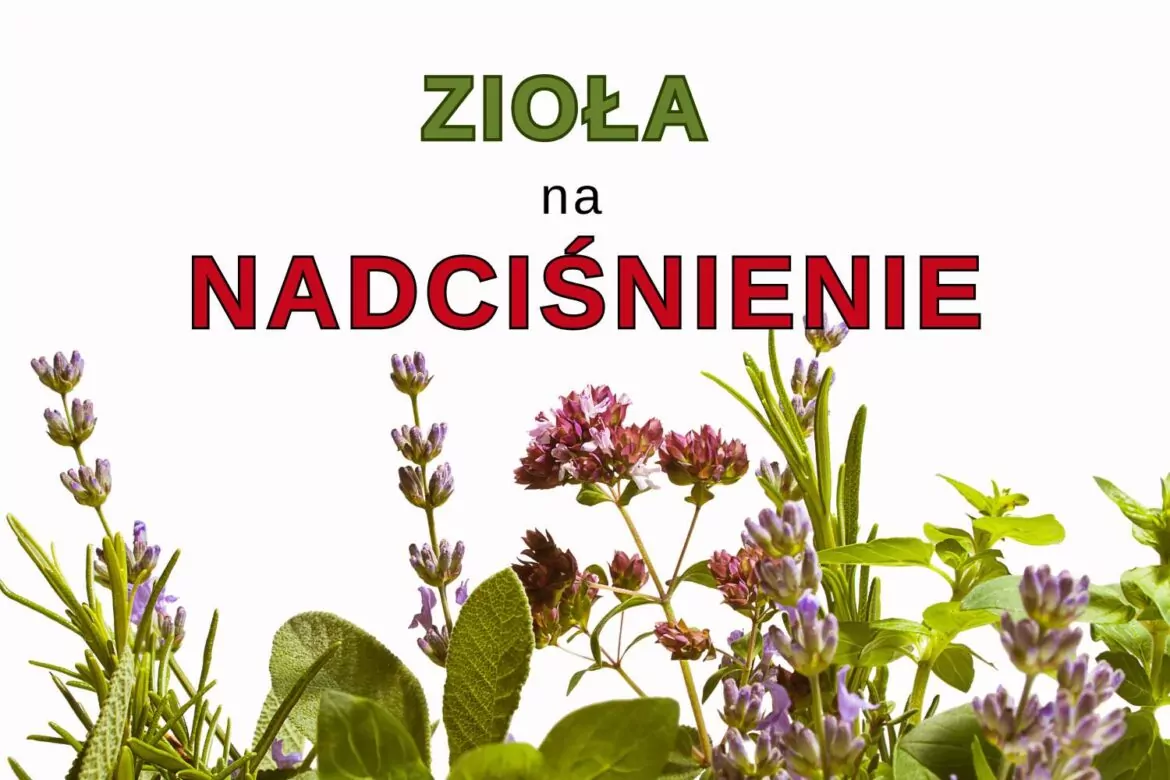 Zioła na Obniżenie Ciśnienia