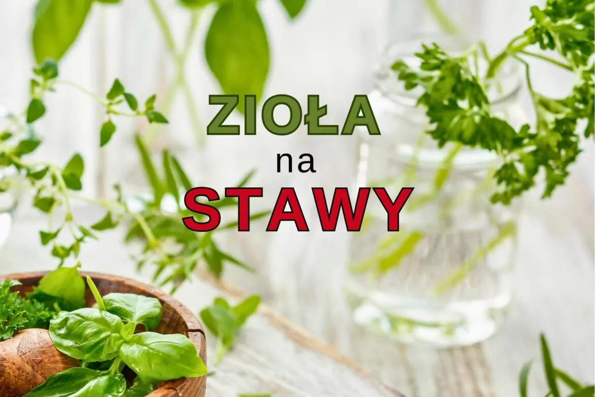 Zioła na Stawy