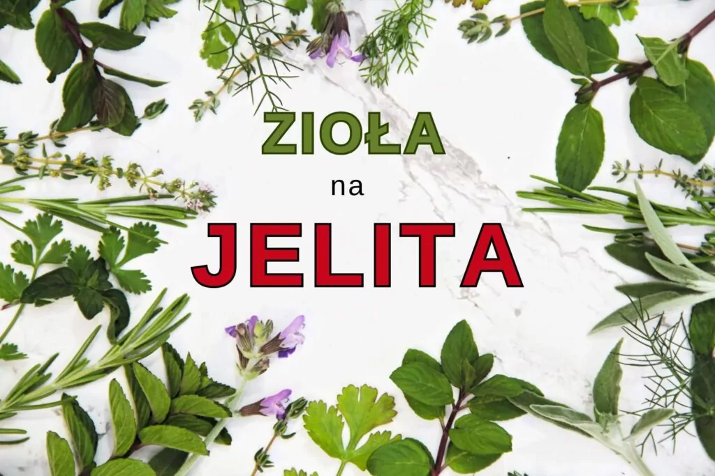 Zioła na jelita: Naturalna pomoc dla układu pokarmowego zioła na jelita