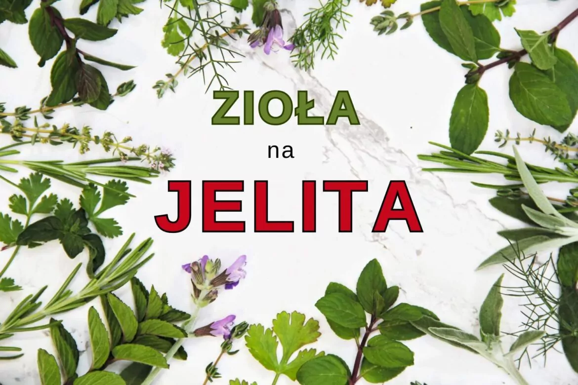 zioła na jelita