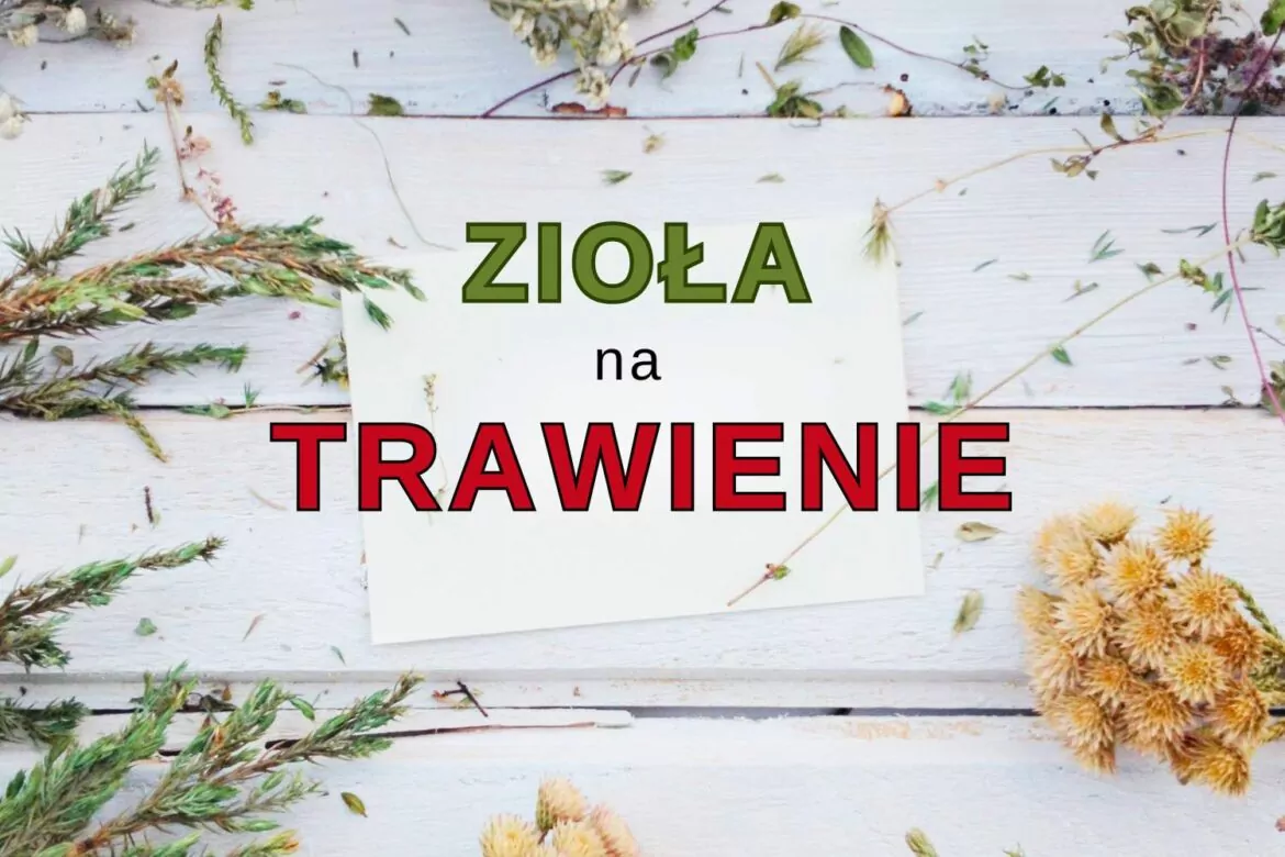 zioła na trawienie
