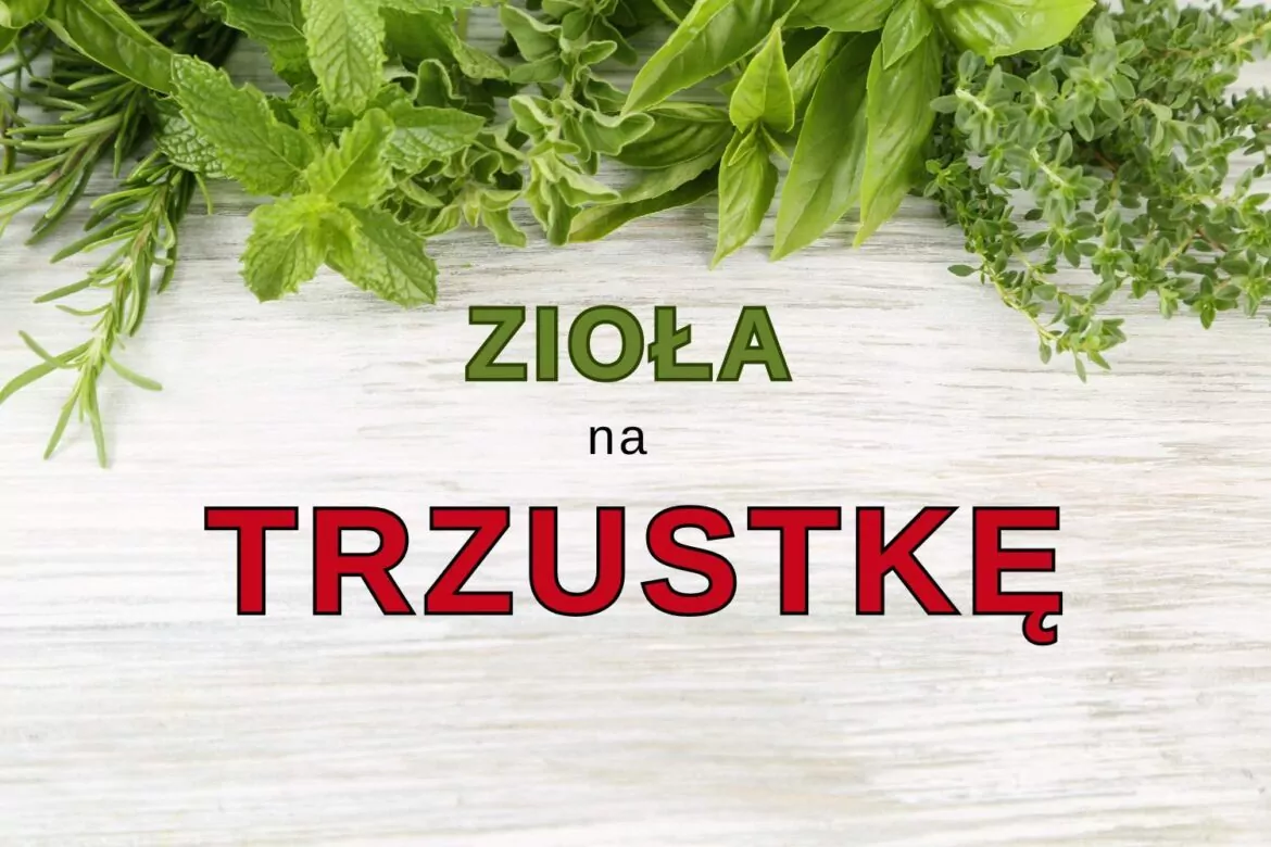 zioła na trzustkę