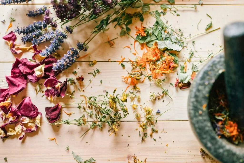 Jak Suszyć Zioła w Domu? Praktyczne Metody i Porady