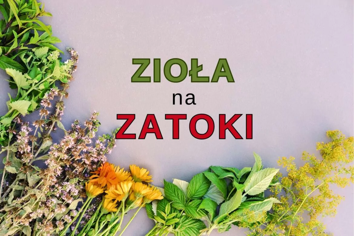 zioła na zatoki