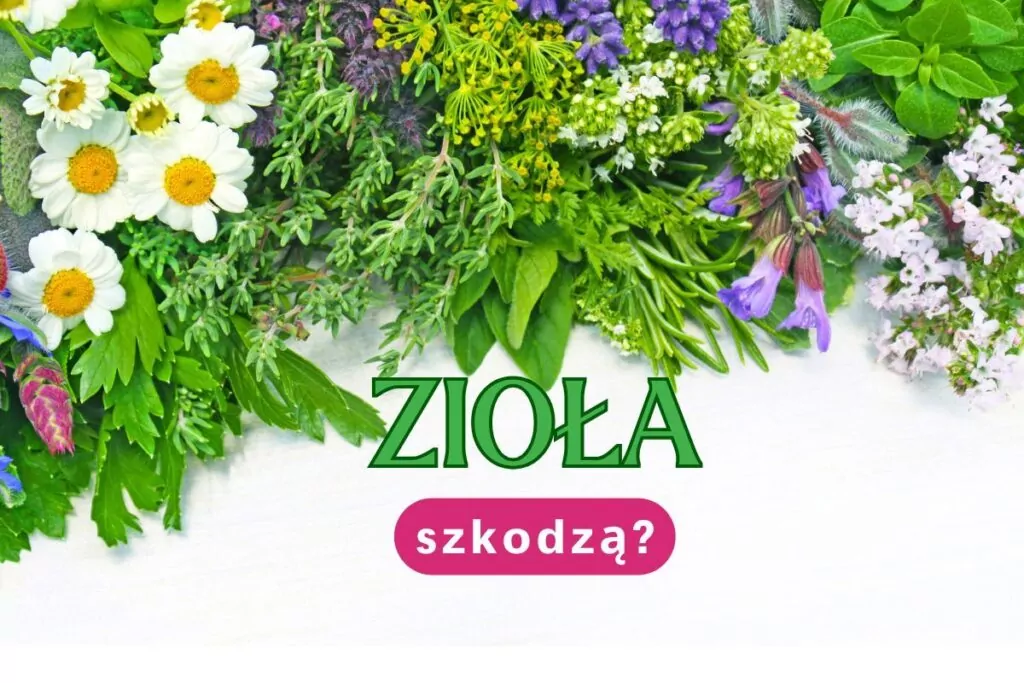 Czy zioła mogą szkodzić? Sprawdź objawy przedawkowania, interakcje z lekami i dowiedz się, jak bezpiecznie stosować ziołowe kuracje. Czy zioła mogą szkodzić? Sprawdź objawy przedawkowania, interakcje z lekami i dowiedz się, jak bezpiecznie stosować ziołowe kuracje.