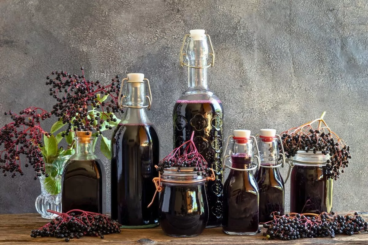 Syropy z ziół – TOP 10. Naturalnie wzmacniaj odporność i smakuj zdrowie na co dzień! Domowe syropy z ziół jak zrobić zdrowy naturalny syrop ziołowy