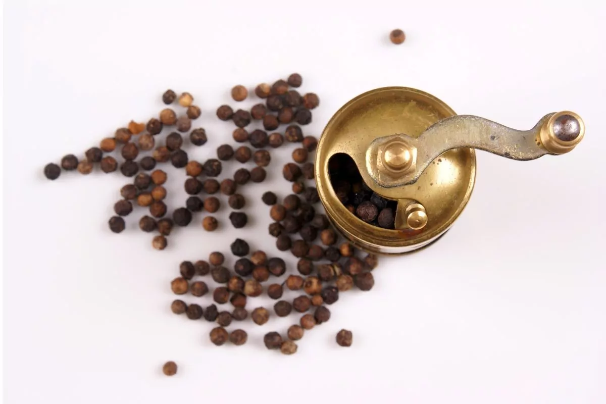 Poradnikowy wybór młynek do przypraw – grubość, typ i mechanizm