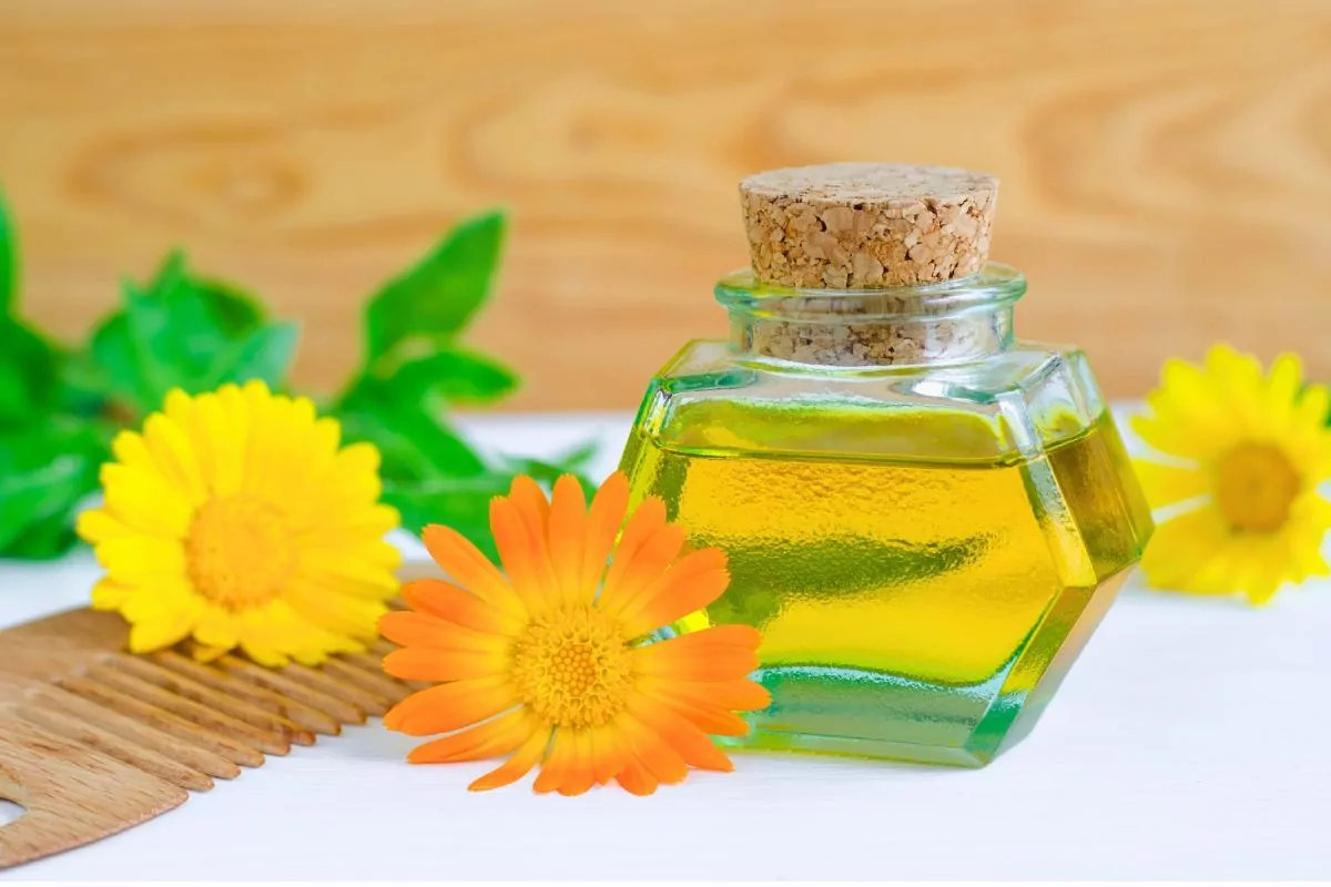 Napar, odwar, macerat i wywar z ziół – różnice i zastosowanie Napar odwar macerat i wywar z ziół – właściwości, przygotowanie, zastosowanie