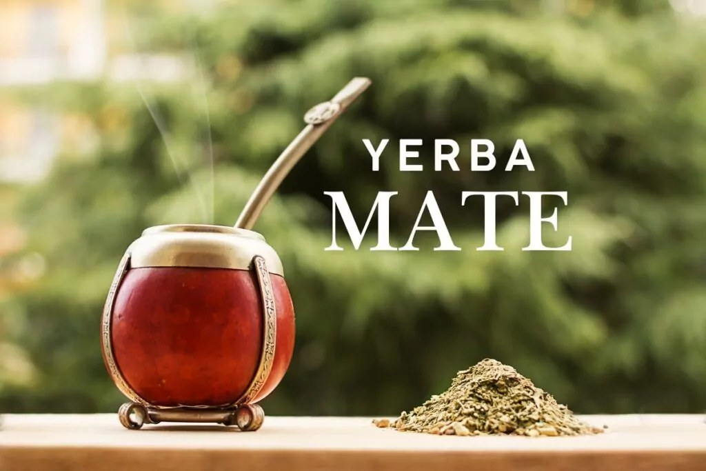 Yerba mate – właściwości, jak pić i efekty. Poradnik dla początkujących Yerba mate – właściwości, jak pić i efekty. Poradnik dla początkujących