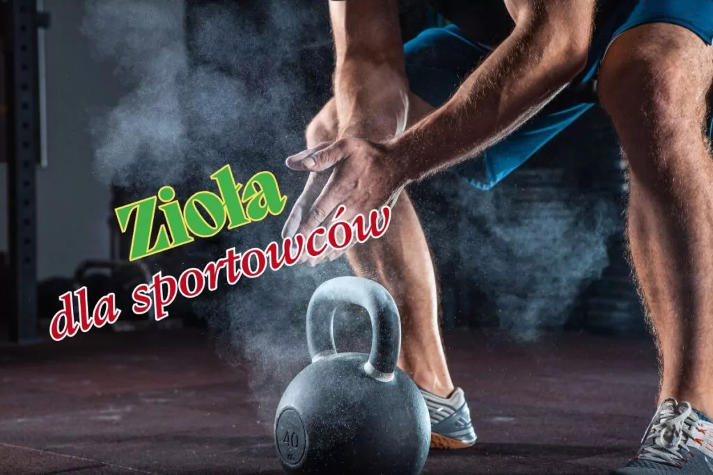 Zioła dla sportowców! Zwiększ wydolność, odporność i tempo regeneracji organizmu naturalnie
