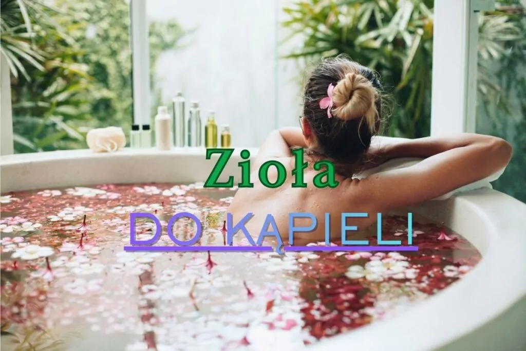 Zioła do kąpieli w domowym SPA – jak wybrać, przygotować i wykorzystać mieszanki ziołowe?