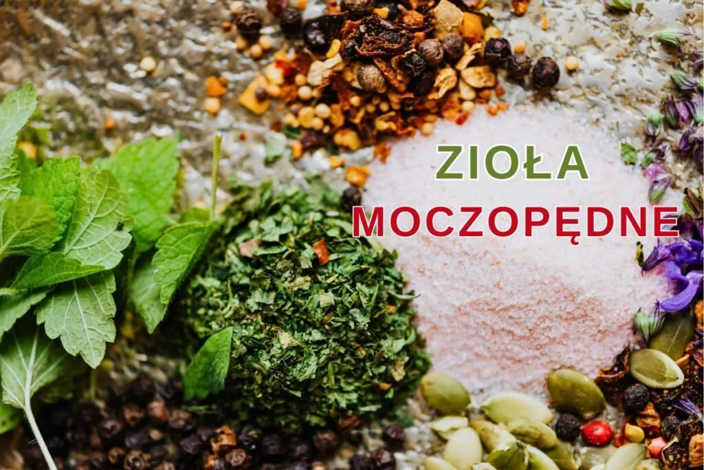 Zioła moczopędne – jak oczyścić nerki? Zioła moczopędne – jak oczyścić nerki?
