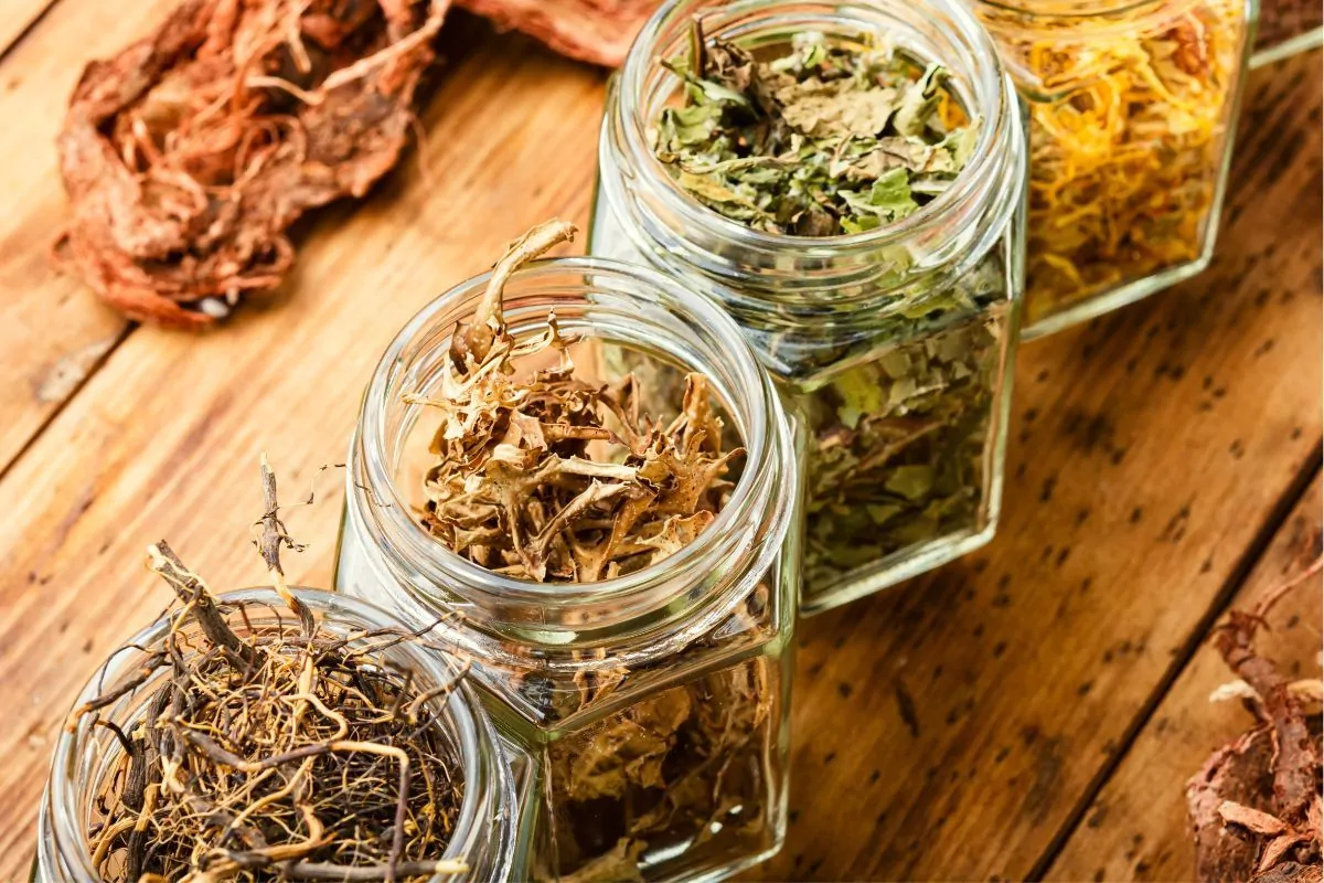 Alergia na zioła i przyprawy: objawy, przyczyny i skuteczne sposoby łagodzenia Alergia na zioła i przyprawy skuteczne sposoby łagodzenia objawów alergii